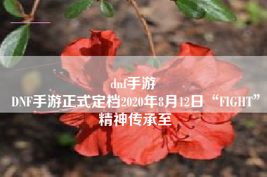 dnf手游 
DNF手游正式定档2020年8月12日“FIGHT”精神传承至