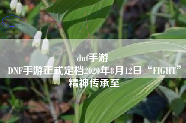 dnf手游 
DNF手游正式定档2020年8月12日“FIGHT”精神传承至