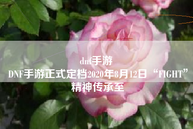 dnf手游 
DNF手游正式定档2020年8月12日“FIGHT”精神传承至