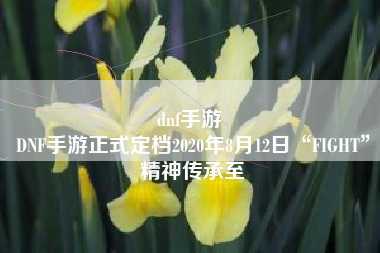 dnf手游 
DNF手游正式定档2020年8月12日“FIGHT”精神传承至