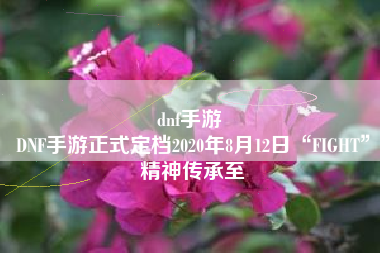 dnf手游 
DNF手游正式定档2020年8月12日“FIGHT”精神传承至