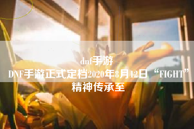 dnf手游 
DNF手游正式定档2020年8月12日“FIGHT”精神传承至