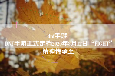 dnf手游 
DNF手游正式定档2020年8月12日“FIGHT”精神传承至
