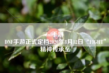 dnf手游 
DNF手游正式定档2020年8月12日“FIGHT”精神传承至