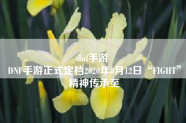 dnf手游 
DNF手游正式定档2020年8月12日“FIGHT”精神传承至