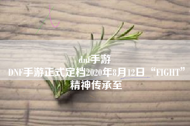dnf手游 
DNF手游正式定档2020年8月12日“FIGHT”精神传承至