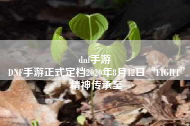 dnf手游 
DNF手游正式定档2020年8月12日“FIGHT”精神传承至