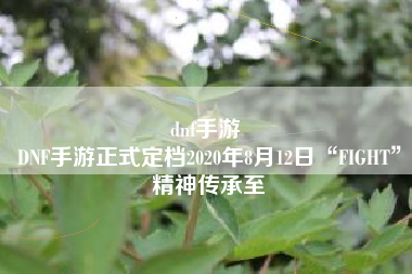 dnf手游 
DNF手游正式定档2020年8月12日“FIGHT”精神传承至