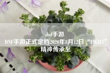 dnf手游 
DNF手游正式定档2020年8月12日“FIGHT”精神传承至