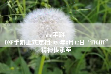 dnf手游 
DNF手游正式定档2020年8月12日“FIGHT”精神传承至