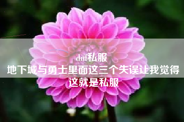dnf私服 
地下城与勇士里面这三个失误让我觉得这就是私服