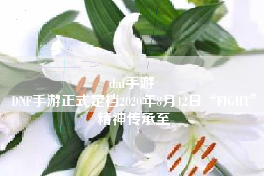 dnf手游 
DNF手游正式定档2020年8月12日“FIGHT”精神传承至