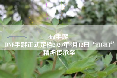 dnf手游 
DNF手游正式定档2020年8月12日“FIGHT”精神传承至