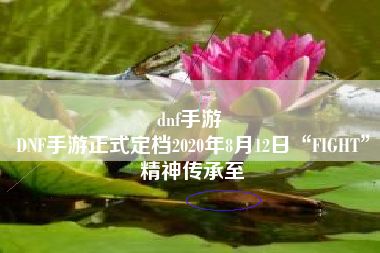 dnf手游 
DNF手游正式定档2020年8月12日“FIGHT”精神传承至