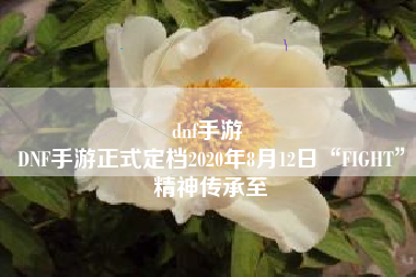 dnf手游 
DNF手游正式定档2020年8月12日“FIGHT”精神传承至