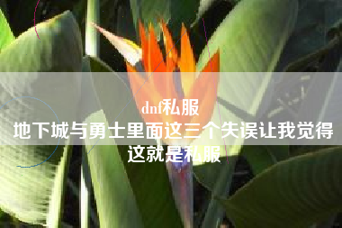 dnf私服 
地下城与勇士里面这三个失误让我觉得这就是私服