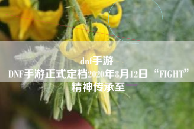 dnf手游 
DNF手游正式定档2020年8月12日“FIGHT”精神传承至