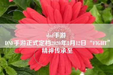 dnf手游 
DNF手游正式定档2020年8月12日“FIGHT”精神传承至