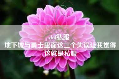 dnf私服 
地下城与勇士里面这三个失误让我觉得这就是私服