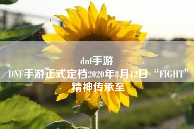 dnf手游 
DNF手游正式定档2020年8月12日“FIGHT”精神传承至
