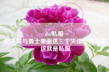 dnf私服 
地下城与勇士里面这三个失误让我觉得这就是私服
