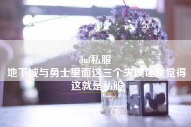 dnf私服 
地下城与勇士里面这三个失误让我觉得这就是私服
