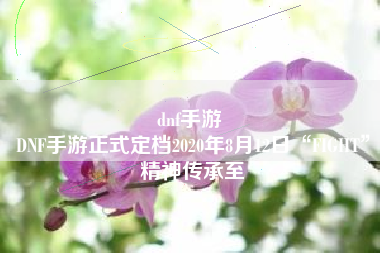 dnf手游 
DNF手游正式定档2020年8月12日“FIGHT”精神传承至