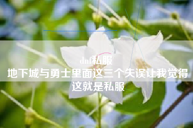 dnf私服 
地下城与勇士里面这三个失误让我觉得这就是私服