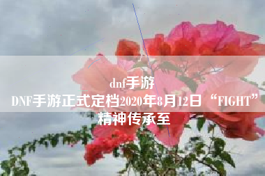 dnf手游 
DNF手游正式定档2020年8月12日“FIGHT”精神传承至