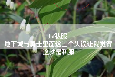 dnf私服 
地下城与勇士里面这三个失误让我觉得这就是私服