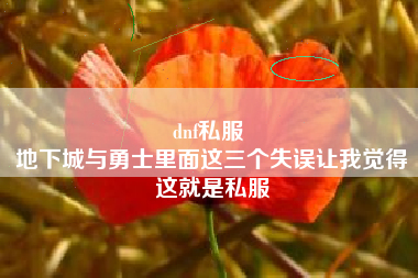 dnf私服 
地下城与勇士里面这三个失误让我觉得这就是私服