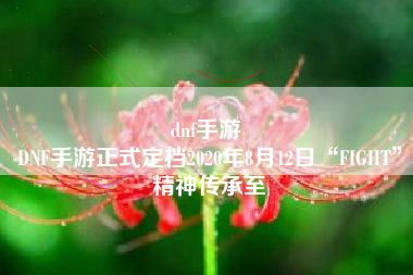 dnf手游 
DNF手游正式定档2020年8月12日“FIGHT”精神传承至
