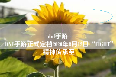 dnf手游 
DNF手游正式定档2020年8月12日“FIGHT”精神传承至