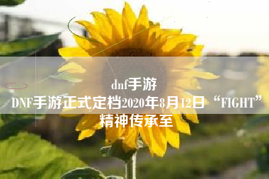 dnf手游 
DNF手游正式定档2020年8月12日“FIGHT”精神传承至