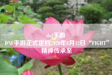 dnf手游 
DNF手游正式定档2020年8月12日“FIGHT”精神传承至