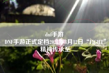 dnf手游 
DNF手游正式定档2020年8月12日“FIGHT”精神传承至
