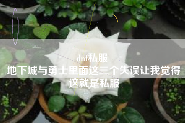 dnf私服 
地下城与勇士里面这三个失误让我觉得这就是私服