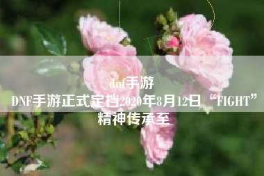 dnf手游 
DNF手游正式定档2020年8月12日“FIGHT”精神传承至