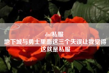 dnf私服 
地下城与勇士里面这三个失误让我觉得这就是私服