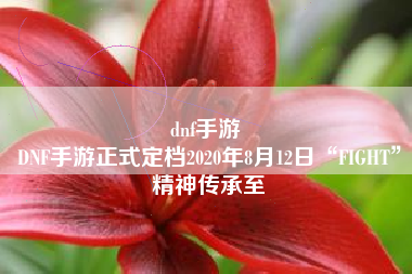 dnf手游 
DNF手游正式定档2020年8月12日“FIGHT”精神传承至