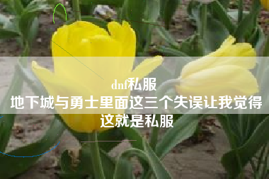 dnf私服 
地下城与勇士里面这三个失误让我觉得这就是私服