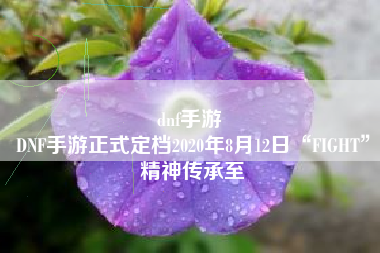 dnf手游 
DNF手游正式定档2020年8月12日“FIGHT”精神传承至