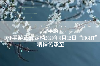 dnf手游 
DNF手游正式定档2020年8月12日“FIGHT”精神传承至