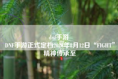 dnf手游 
DNF手游正式定档2020年8月12日“FIGHT”精神传承至