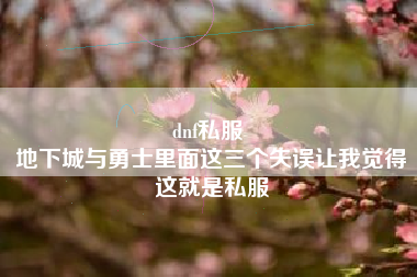 dnf私服 
地下城与勇士里面这三个失误让我觉得这就是私服