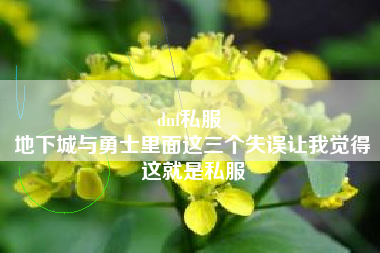 dnf私服 
地下城与勇士里面这三个失误让我觉得这就是私服