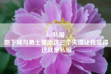 dnf私服 
地下城与勇士里面这三个失误让我觉得这就是私服