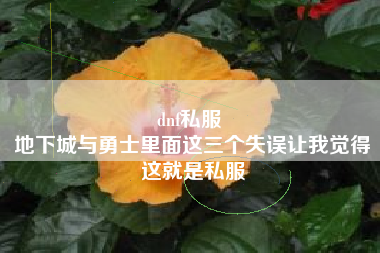 dnf私服 
地下城与勇士里面这三个失误让我觉得这就是私服