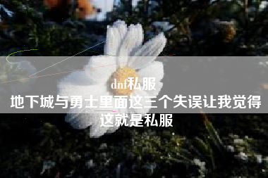 dnf私服 
地下城与勇士里面这三个失误让我觉得这就是私服