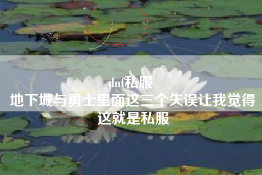 dnf私服 
地下城与勇士里面这三个失误让我觉得这就是私服